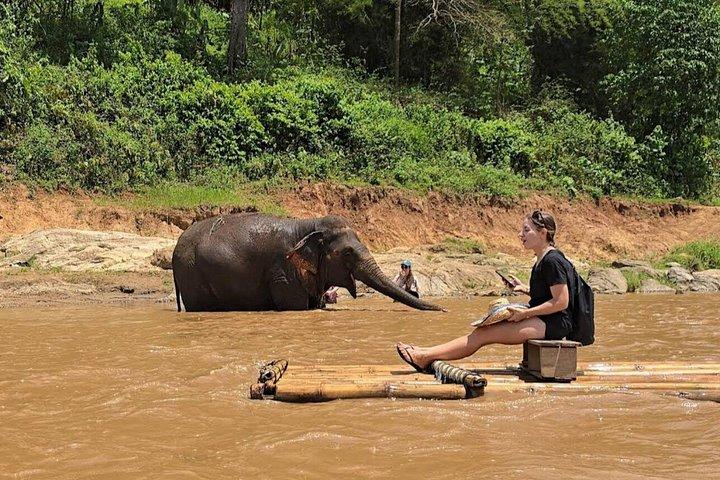 粘り気のある滝の竹筏流しランチとアングルの土地