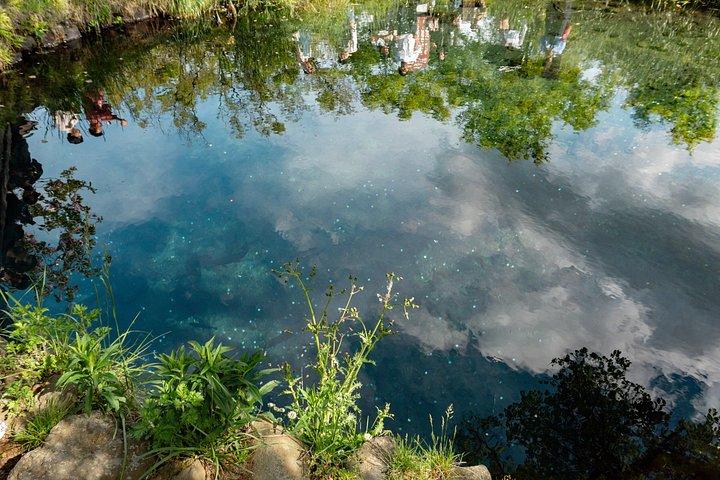 東京から：富士山、箱根、大涌谷＆芦ノ湖バスツアー