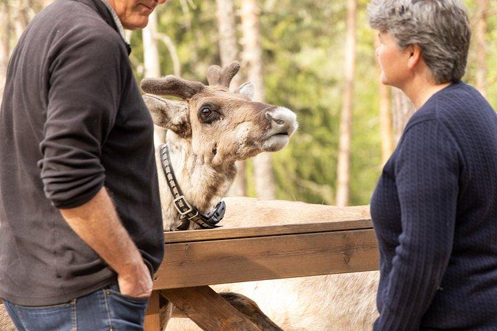 プライベートサービスラヌア動物園VIPパス****