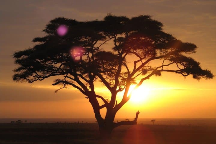 8 Days 7 Nights Safari and Culture Tour in Kenya and Tanzania