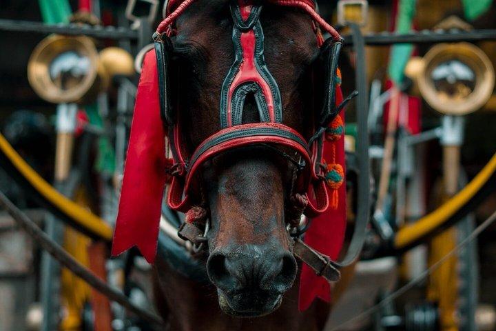 プライベート・ヒドゥン・デンパサール・ツアー本当のバリ体験