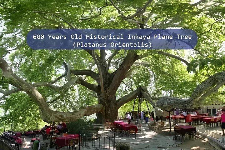 Daily Bursa and Uludag Tour from Istanbul with lunch
