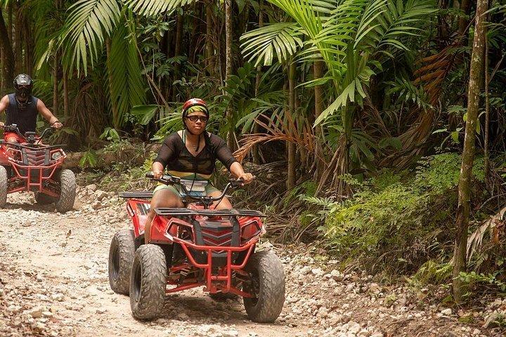 モンテゴベイ：ダンズ川、ジップライン、ラフティング、乗馬、ATV