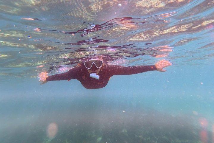 Lisbon Arrábida UNESCO Biosphere Experience by Kayak with Snorkel