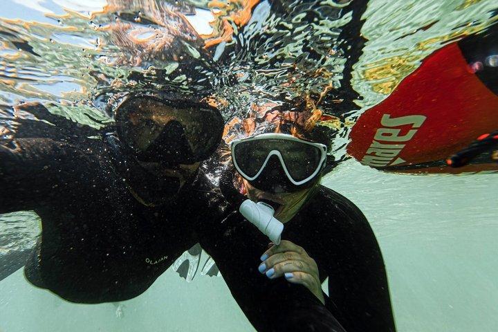 Lisbon Arrábida UNESCO Biosphere Experience by Kayak with Snorkel