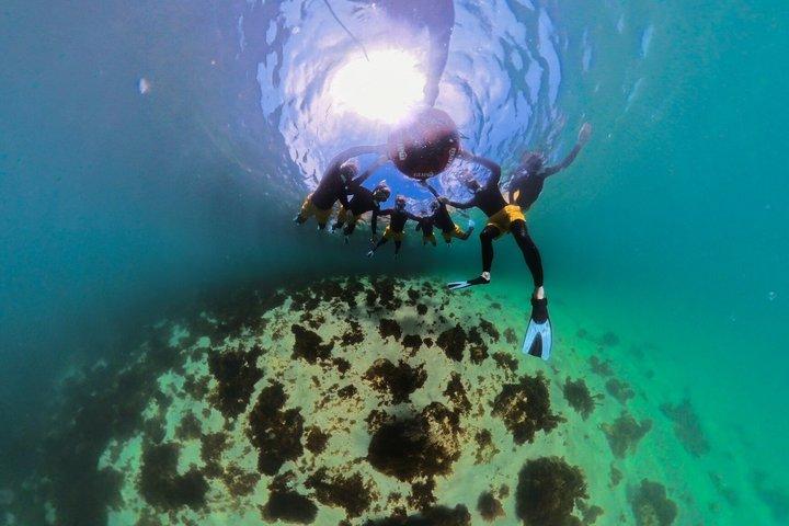 リスボン・アラビダユネスコ生物圏体験カヤックとシュノーケル