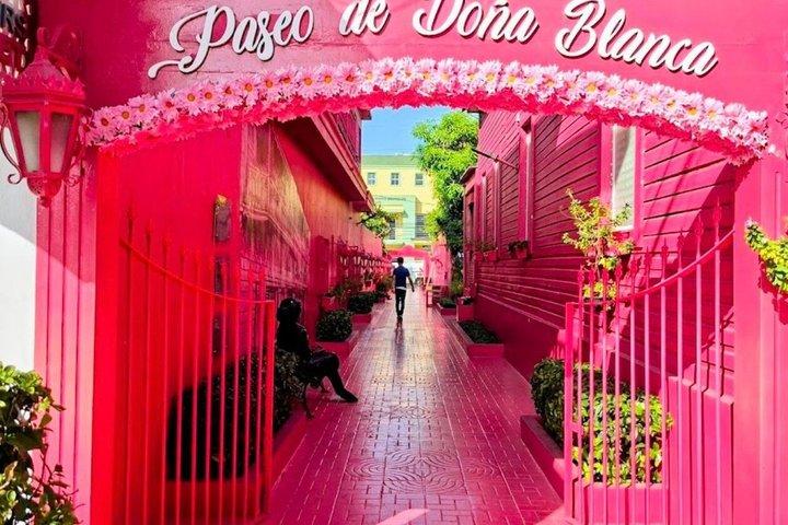 Puerto Plata City Tour with Monkey Home and Dominican Countryside