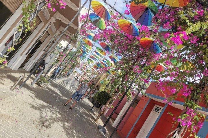 Puerto Plata City Tour with Monkey Home and Dominican Countryside
