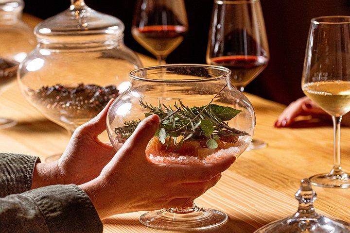 Sensorisk resa av vinsmaker på Casa Paladin Winery