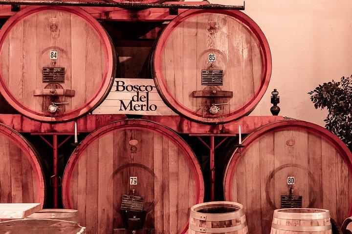 Sensorisk resa av vinsmaker på Casa Paladin Winery