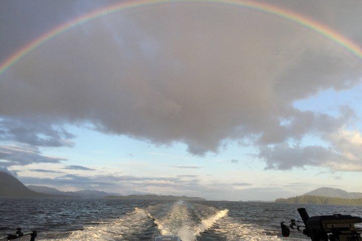 Privat Ketchikan Coastal Tour Vildmark, valar och vilda djur
