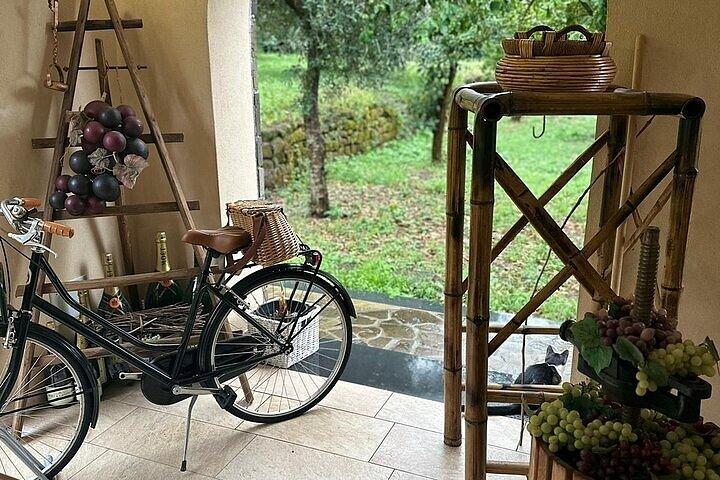 ナポリからポンペイ、エルコラーノツアーで秘密のワイナリーを発見