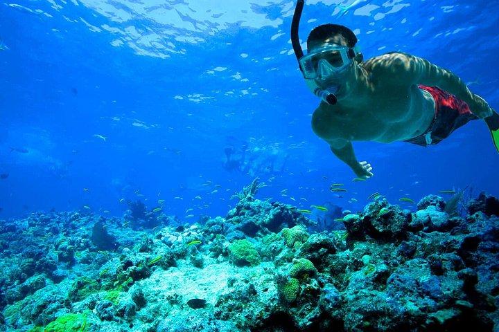 Key West Reef Schnorcheln – Morgens Mimosas oder nachmittags Margaritas