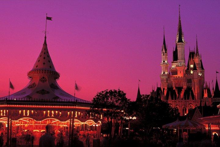 東京ディズニーランドのチケット（オプション付き）