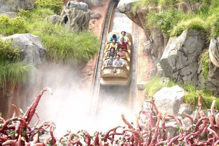 東京ディズニーランドのチケット（オプション付き）