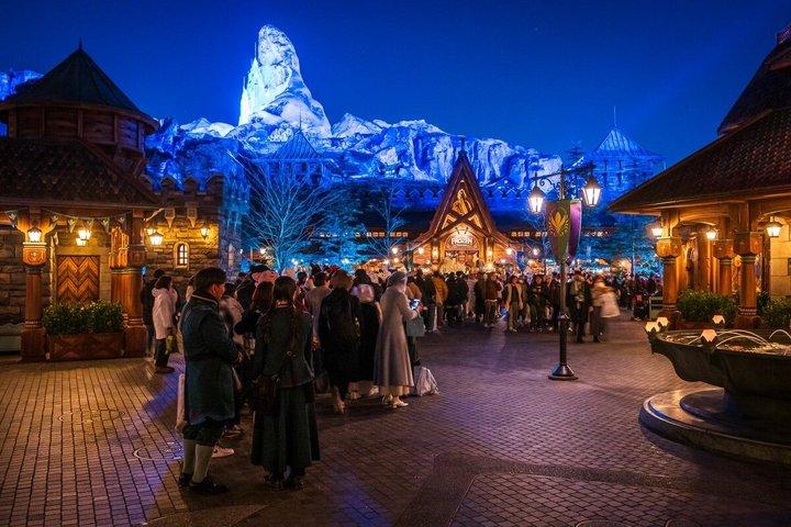 東京ディズニーランドのチケット（オプション付き）