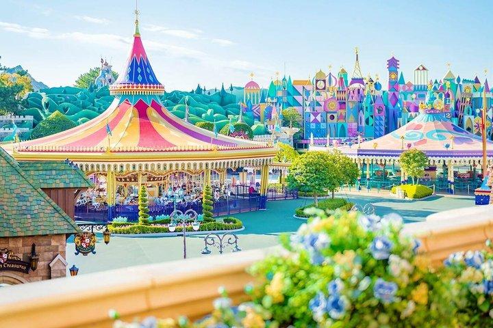東京ディズニーランドのチケット（オプション付き）