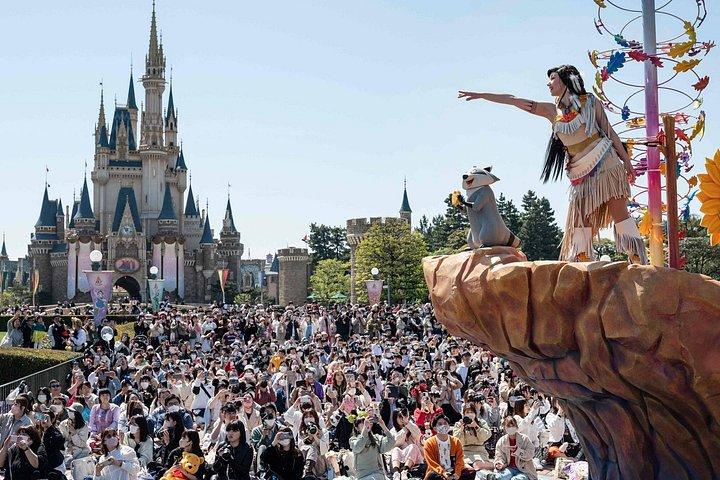 東京ディズニーランドのチケット（オプション付き）