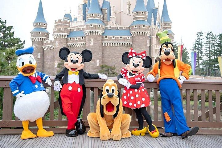 東京ディズニーランドのチケット（オプション付き）