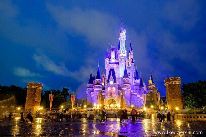 東京ディズニーランドのチケット（オプション付き）