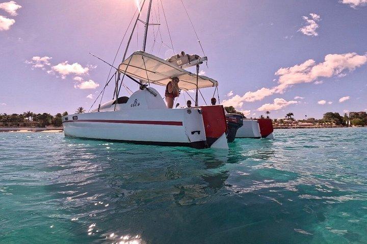 Che’s snorkel catamaran! turtles, photos & pickup (small group)