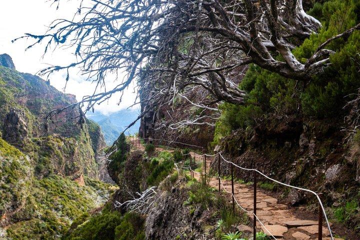Madeira PR1 Guided Tour Pico Areeiro Pico Ruivo with Tickets