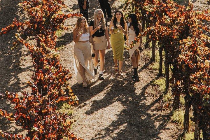 Wine Country Shuttle from San Francisco