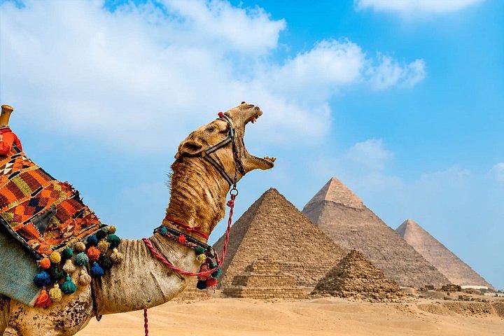 Ultimate Giza Pyramids Tour Private Guide,Camel& Hidden Gems