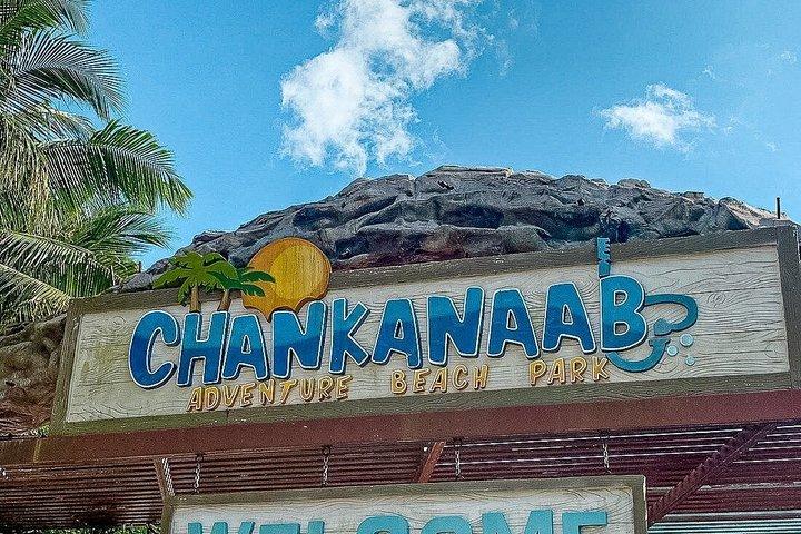 Cozumel Chankanaab mit Eintritt und Hin- und Rückfahrt