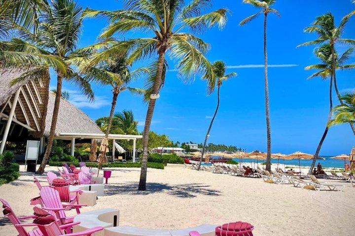 ART & FOREST WAY L'ultima esperienza di avventura a Punta Cana
