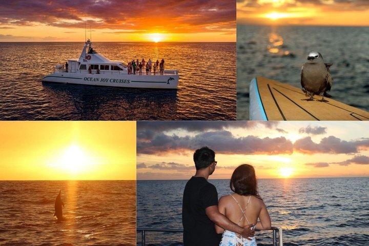 Premium snorkelcruise bij zonsondergang met dolfijnenhorloge