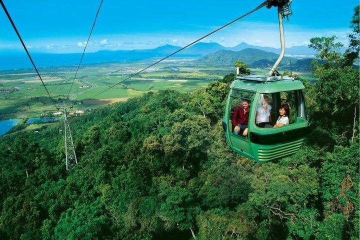 Cairns : Army Duck, Wildlife & Skyrail Rainforest Tour