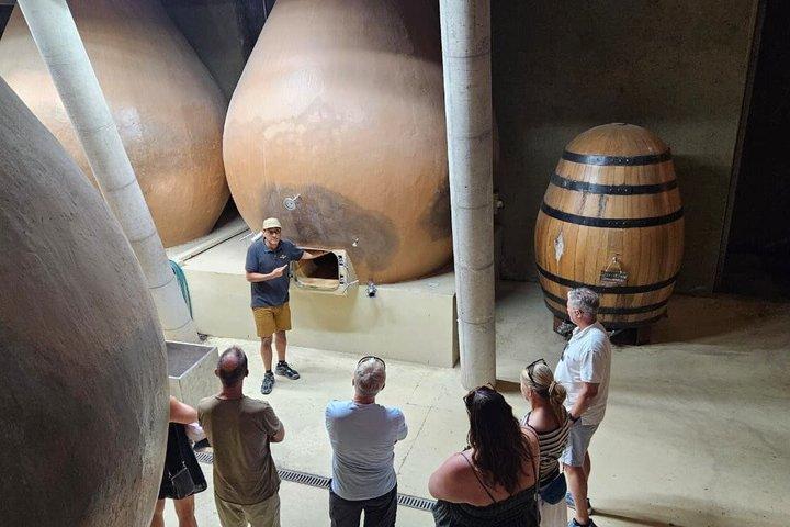 Private Casablanca Valley Wine Tour: 2 boutique vingårde og frokost