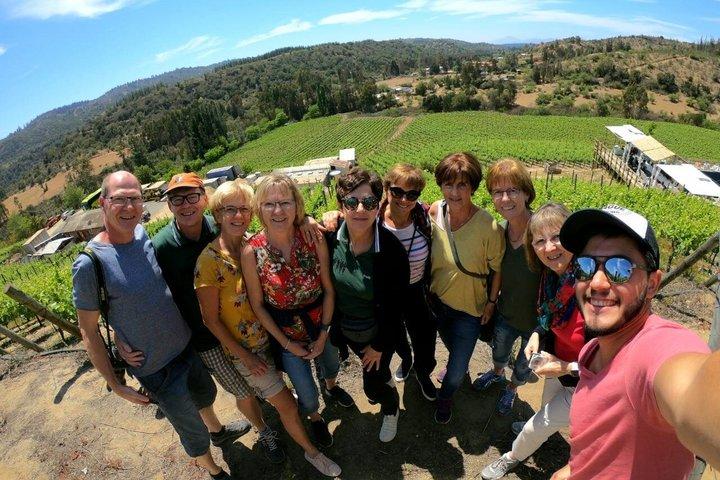 Private Casablanca Valley Wine Tour: 2 boutique vingårde og frokost