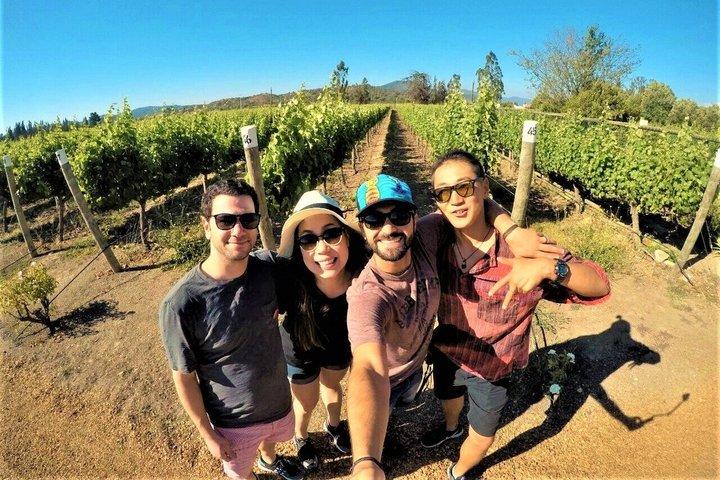 Private Casablanca Valley Wine Tour: 2 boutique vingårde og frokost