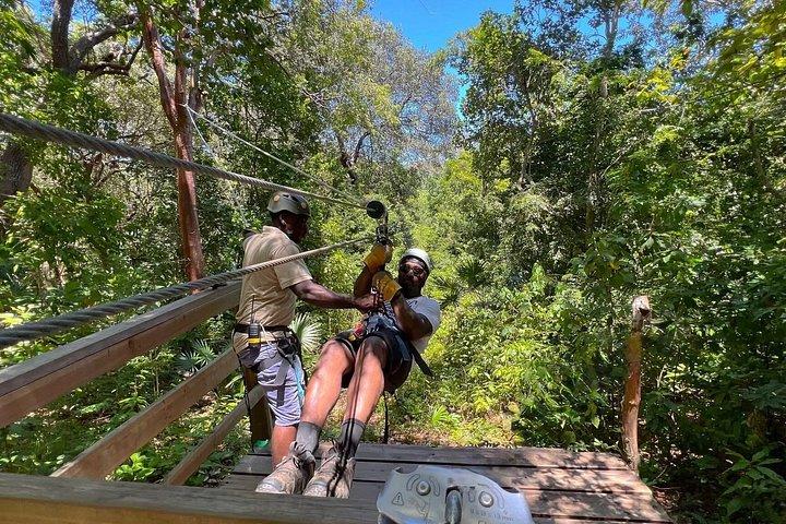 Roatan 35-Minute Private Guided Canopy Zipline Tour