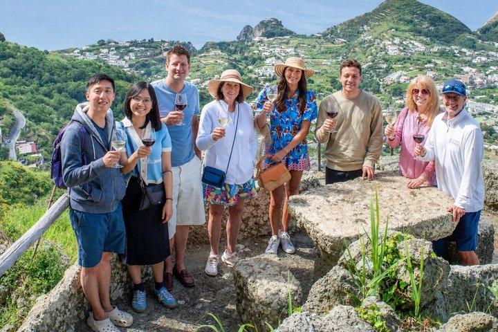 Ischia Wine Tasting Experience, Vineyards Tour and Hotel Pickup