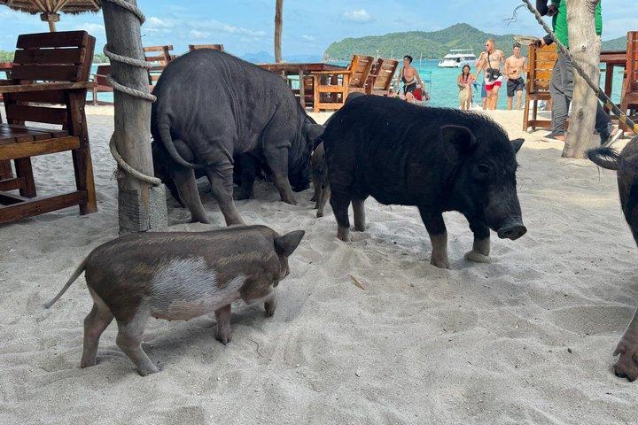 プライベートロングテールボートでマッサム島（ブタ島）＆タン島へ