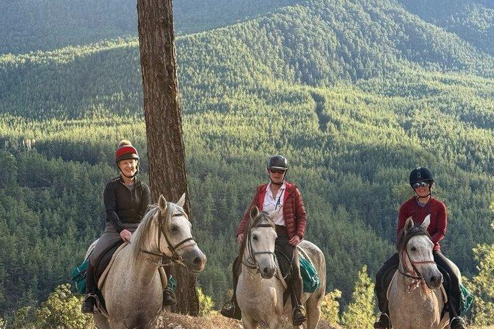 1 oder 2 Stunden PRIVAT Reiten im Wald in Kemer Antalya