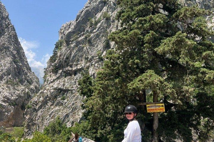 1 oder 2 Stunden PRIVAT Reiten im Wald in Kemer Antalya