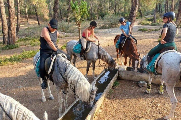 1 oder 2 Stunden PRIVAT Reiten im Wald in Kemer Antalya