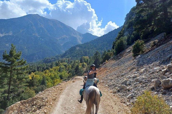 1 oder 2 Stunden PRIVAT Reiten im Wald in Kemer Antalya
