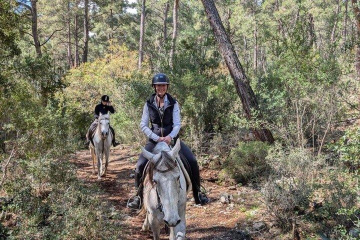ケメル・アンタルヤの森で1時間または2時間のグループ乗馬