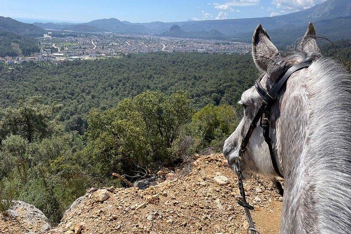 1 or 2 Hours Group Horse Riding in the Forest in Kemer Antalya