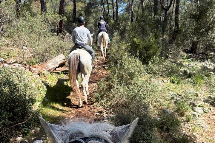 ケメル・アンタルヤの森で1時間または2時間のグループ乗馬