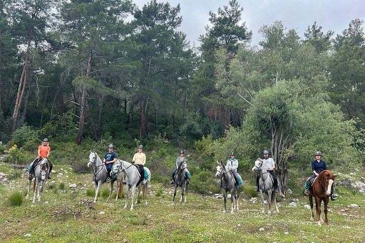 ケメル・アンタルヤの森で1時間または2時間のグループ乗馬