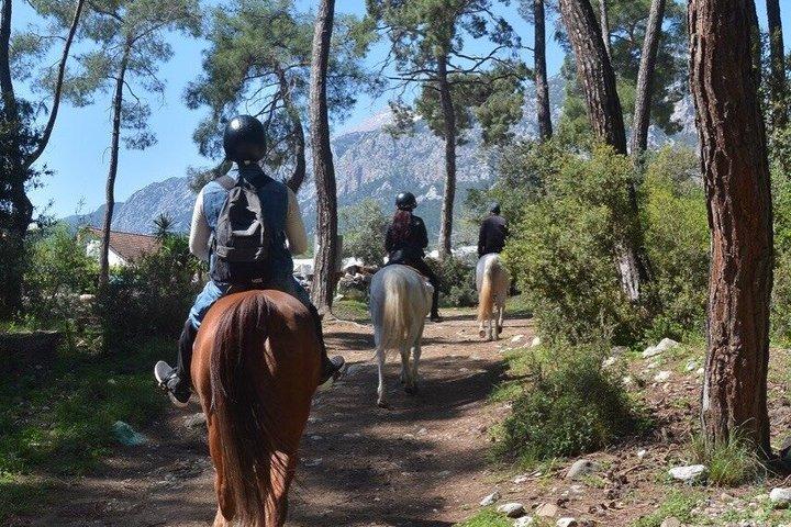 ケメル・アンタルヤの森で1時間または2時間のグループ乗馬
