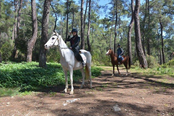 ケメル・アンタルヤの森で1時間または2時間のグループ乗馬
