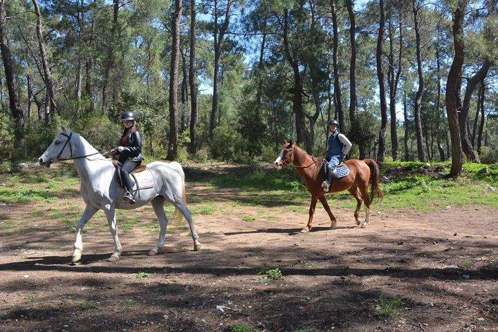ケメル・アンタルヤの森で1時間または2時間のグループ乗馬