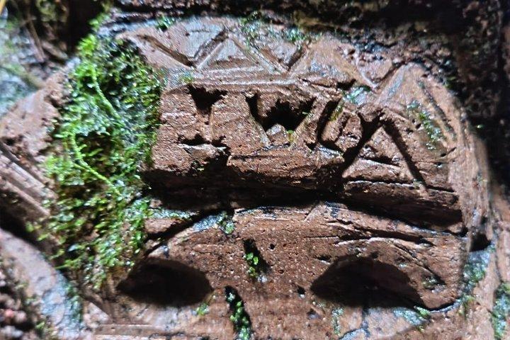 Amazon Puyo 3 Days 2 Nights | Caimans, Waterfall and Jungle